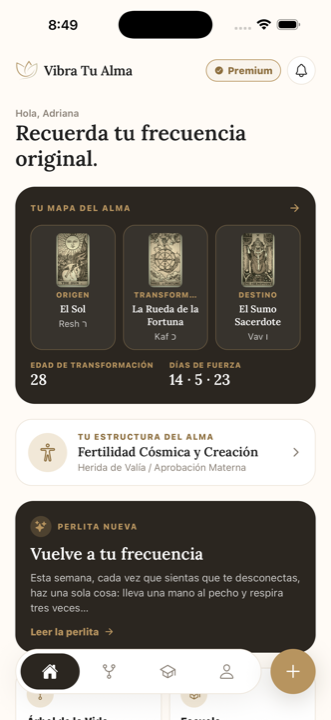 Inicio de la app Vibra Tu Alma